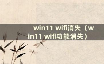 win11 wifi消失（win11 wifi功能消失）